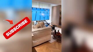 What a Jump! 💥 One Leap From My Doggy… and Everything Broke!
