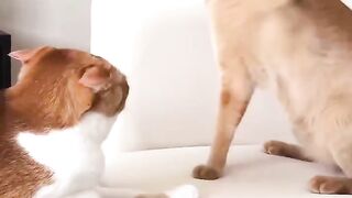 The Bath Was a Huge Mistake