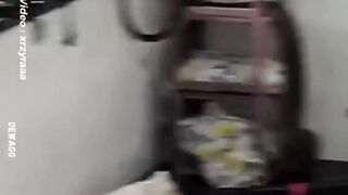 Bikin Jantungan! King Cobra Nyasar Masuk Kelas di SMKN 1 Sambas, Pegawai Kebersihan Jadi Pahlawan Dadakan!