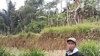 Petani di sawah