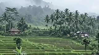 Nature village 2