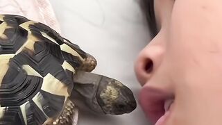 A Sweet and Funny Moment With a Curious Turtle 🐢❤️