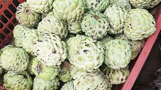 Sugarapple(atis)