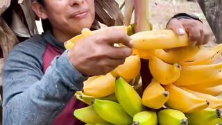 The traditional way of eating bananas straight from the tree.