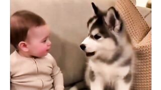 Baby fun 12