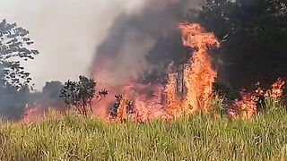 Kebakaran lahan kosong