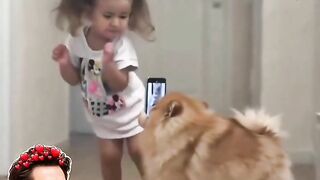 Pappi dance