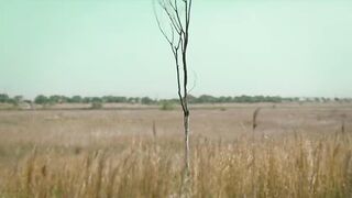 A_Shop_for_Killers_[Hindi]_480P_S01_E05.mp4