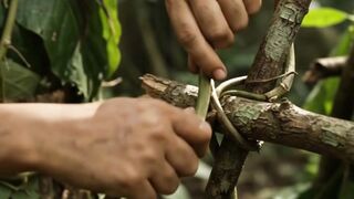 Life 2,000 Years Ago | How Ancient People Hunted, Cooked & Survived Without Modern Technology