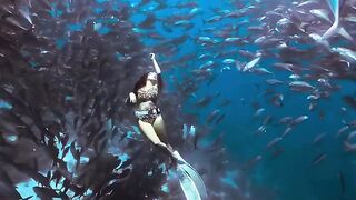 Diving Into a Sea of Fish: An Incredible Underwater Adventure 🐟🤿✨