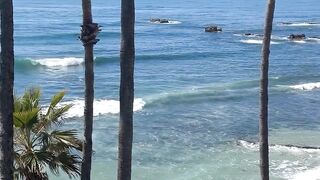Natural sights of the ocean ocean #natural #tree