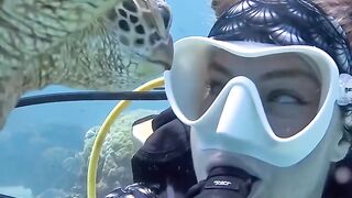 An Unforgettable Underwater Encounter with a Sea Turtle! 🌊🐢✨