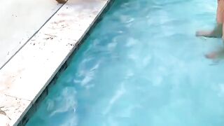 Cute golden retriever