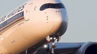 orning landing ☀️ Singapore A350