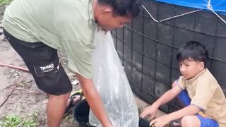 The Process of Eliminating Bacteria in New Fish Seed