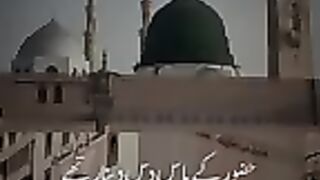 Tik Tok Video 290