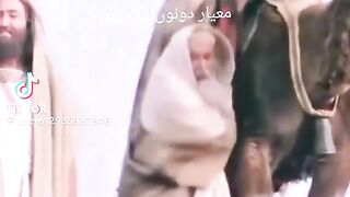 Tik Tok Video 293