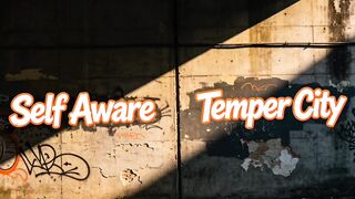 Self Aware Temper City Lyric