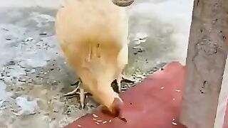 OMG😂