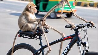 Funniest Trending Videos You Can’t Stop Laughing At! 😂 The Funniest Videos Trending Right Now! 🤣 Try Not to Laugh: Viral Funny Videos!