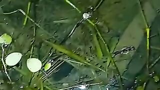 Wow😍😍 video