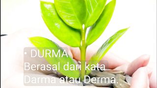 Fase DURMA