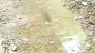 O nooo.... video