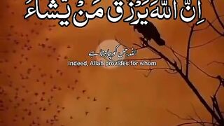 ان الله یرزق من یشاء بغیر حساب