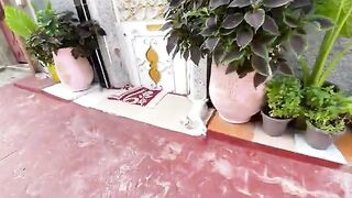 The loveliest welcome from this cute stray cat today!
