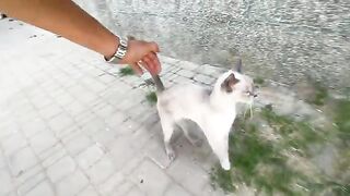 A warm hug and sweet moments with a stray cat.