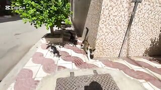 A family gathering on the sidewalk, featuring delicious food.