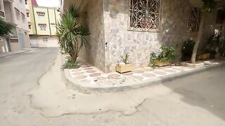 An incredibly friendly young cat; he showered me with love and attention.