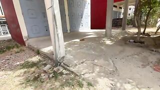 Mama Cat is friendly, and the cute kittens are hungry; they all want food.