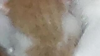 Baby Cat 4