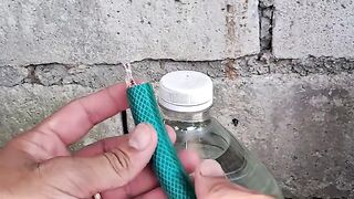 Iconic Knots