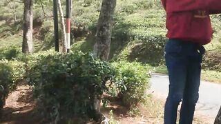 Exploring the Green Tea Garden: Fun Family Vacation & Nature Views