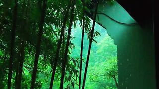 Green garden