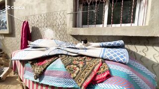 The moody stray cat attacked the hand of the girl who was showing it affection.