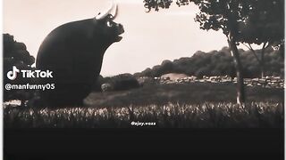 Funny video 🤣🤣🤣