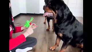 Como ousa morder nossa mãe?