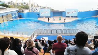 Hong Kong tour