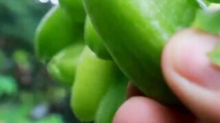 The refreshing sensation of eating sour starfruit.