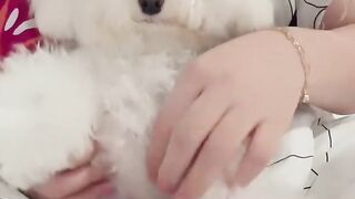 Ada yang berdiri pada kucing cantik