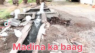 Madina ka Baagh