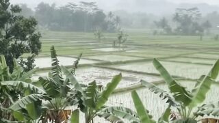 Village beautifull