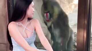 Hewan yang birahi melihat wanita cantik