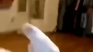 Funy Video 71