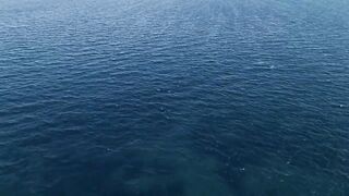 🌊 Scientists Found Something Strange in the Deep Ocean