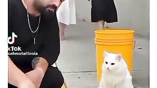 Funny video