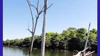 PEGOU UM PEQUENO TUCUNARÉ MAIS MUITO BONTO